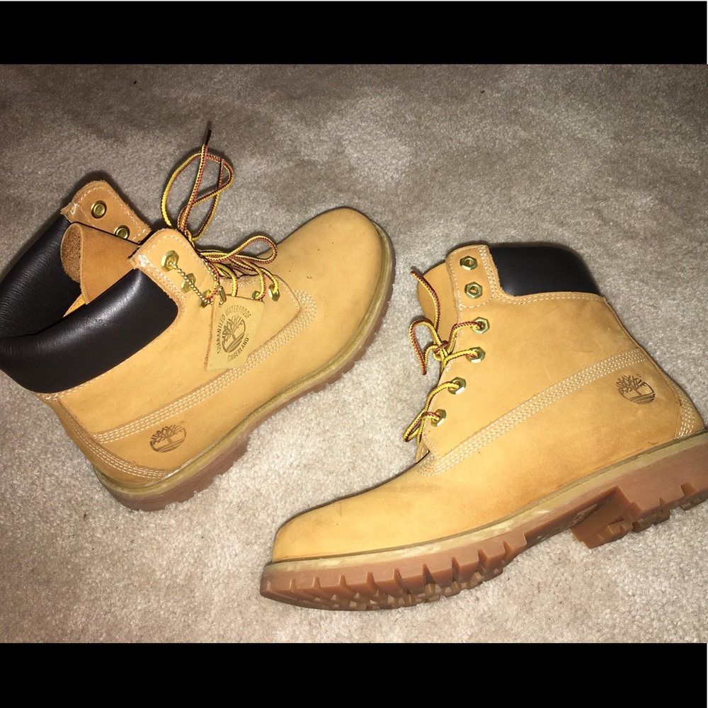 Women’s Timberland 6" Premium Waterproof Boots